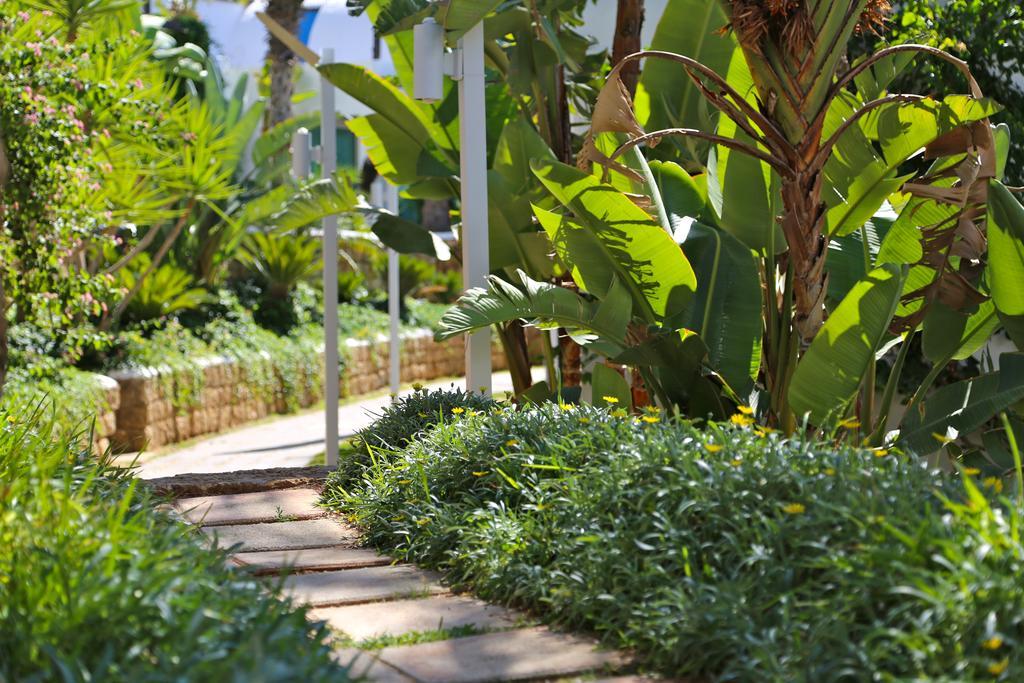 Pangea Resort